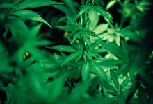 Ministério Público acusa 15 pessoas de venderam droga nas redes sociais de norte a sul do País