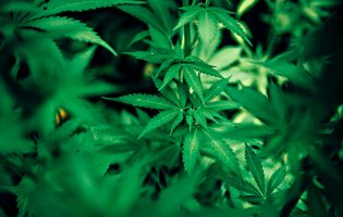 Ministério Público acusa 15 pessoas de venderam droga nas redes sociais de norte a sul do País