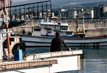 Pescadores do Norte de Portugal exigem “pedido de desculpa” de deputados do PCP e BE