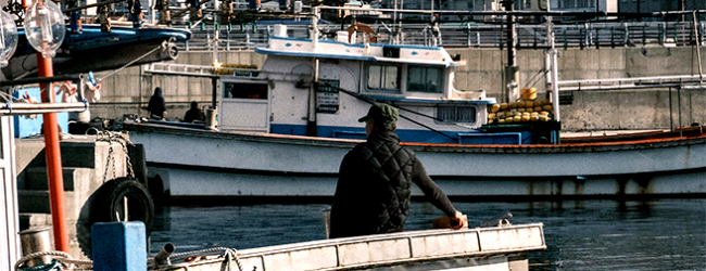 Pescadores do Norte de Portugal exigem “pedido de desculpa” de deputados do PCP e BE