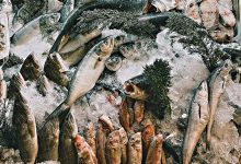 Docapesca diz que preço médio do pescado nas lotas cresce 5,4% em 2024 com 2,39 euros por kg