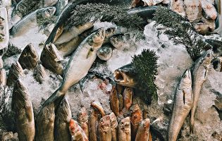 Docapesca diz que preço médio do pescado nas lotas cresce 5,4% em 2024 com 2,39 euros por kg
