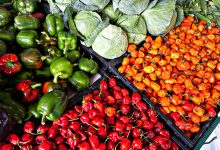 Projeto sobre identidade alimentar na Área Metropolitana do Porto valoriza produtores