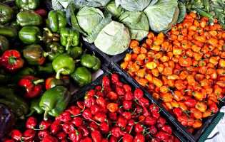 Projeto sobre identidade alimentar na Área Metropolitana do Porto valoriza produtores