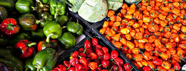 Projeto sobre identidade alimentar na Área Metropolitana do Porto valoriza produtores