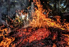 GNR deteve homem de 80 anos suspeito de provocar incêndio florestal em Vila do Conde