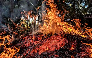 GNR deteve homem de 80 anos suspeito de provocar incêndio florestal em Vila do Conde