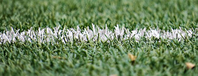 Jogo entre Rio Ave e Estrela da Amadora reagendado para as 19:30 de segunda-feira