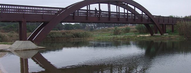 Banhos permitidos nas Praias de Labruge em Vila do Conde e Angeiras Norte em Matosinhos