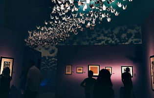 Bienal de Arte Contemporânea da Maia estreia peça inspirada em obra de Isabel Meyrelles