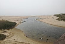 Má qualidade da água no rio Onda está associada a descargas da empresa Lactogal de Vila do Conde