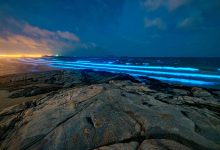 Alga Noctiluca Scintillans dá bioluminescência ao mar na freguesia de Vila Chã em Vila do Conde