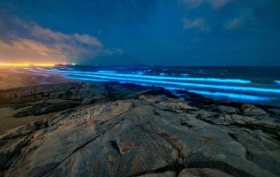 Alga Noctiluca Scintillans dá bioluminescência ao mar na freguesia de Vila Chã em Vila do Conde