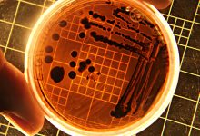 Banhos desaconselhados na praia de Matosinhos devido a bactérias E. Coli e Enterococcus