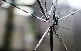 Chega de Matosinhos afirma que ataque a tiro a casa de candidato da AD não dignifica democracia