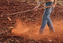 GNR deteve em exploração agrícola de Vila Nova de Famalicão três estrangeiros em situação ilegal
