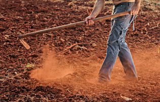 GNR deteve em exploração agrícola de Vila Nova de Famalicão três estrangeiros em situação ilegal