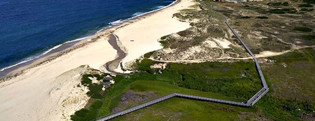 Norte de Portugal com 27,5M€ para investir em conservação da natureza e biodiversidade