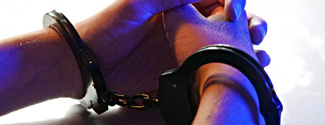 Prisão preventiva para dupla detida por roubos e furtos qualificados nos distritos de Aveiro e Porto