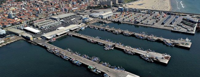 Transações em lotas da Docapesca sobem 4,6% para 238,5 milhões de euros até novembro