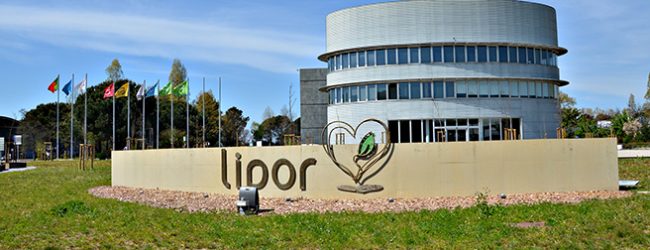 Executivo do Porto aprova transformar Lipor em empresa intermunicipal e aprova novos estatutos