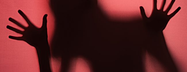 Pai de suspeito de prostituição e pornografia de menores atinge a tiro dois inspetores da PJ