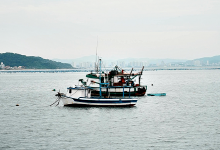 Pescadores falam em “impacto recorde” e barcos parados desde dezembro devido ao mau tempo