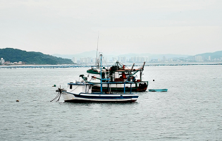 Pescadores falam em “impacto recorde” e barcos parados desde dezembro devido ao mau tempo