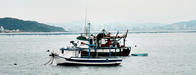 Pescadores falam em “impacto recorde” e barcos parados desde dezembro devido ao mau tempo