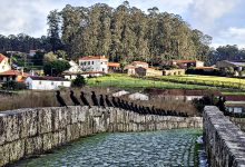 Corvos marinhos fazem “guarda de honra” a quem passa na Ponte d’Ave de Vila do Conde