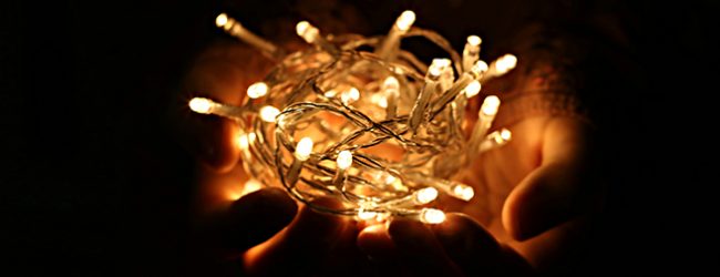 Polícia Judiciária detém 4 pessoas por alegado esquema criminoso com iluminações de Natal