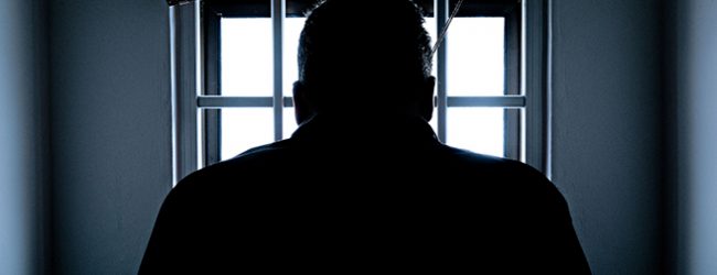Detido homem suspeito de ter ateado dois fogos na Maia a 11 de abril e outro a 20 de maio