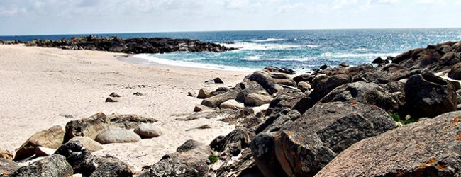 Banhos desaconselhados em 3 praias da Póvoa de Varzim por contaminação microbiológica da água