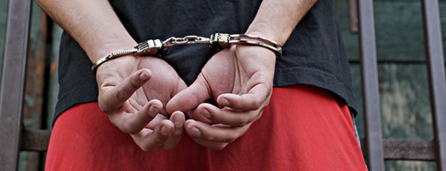 15 detidos em megaoperação contra o tráfico de droga no Porto, Gaia, Vila do Conde e Matosinhos