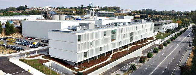 Administração da Sonae propõe Cláudia Azevedo para presidente e João Dolores para CEO