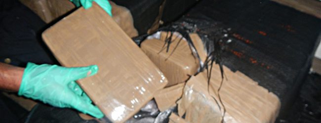 Polícia Judiciária deteve homem e apreendeu 100 quilos de haxixe em Vila Nova de Famalicão